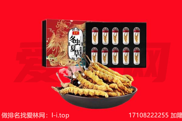 喀什回收虫草.jpg